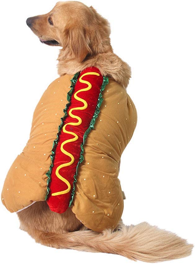 Disfraz Hot Dog