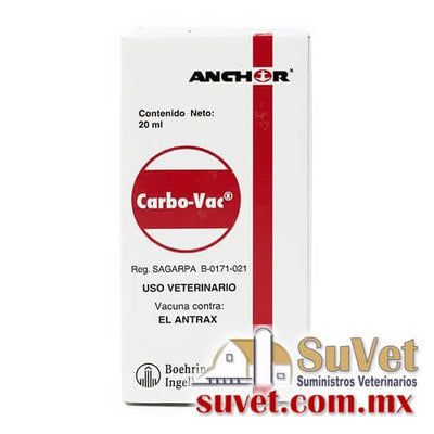 CARBO VAC ANCHOR