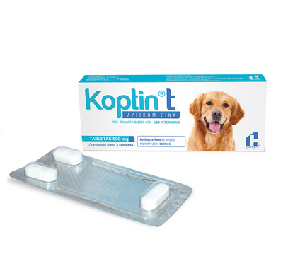 KOPTIN T 500MG 3 TABLETAS - CHINOIN