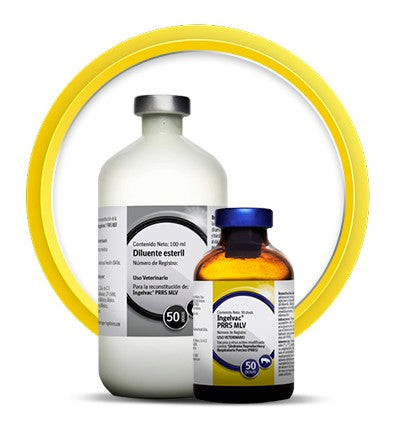 INGELVAC PRRS MLV 50 DS