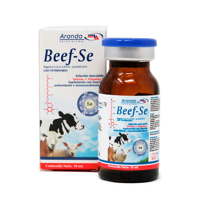 BEEF SE - ARANDA