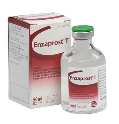 CON ENZAPROST 50 ML CEVA