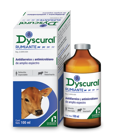 DYSCURAL RUMIANTE CHINOIN