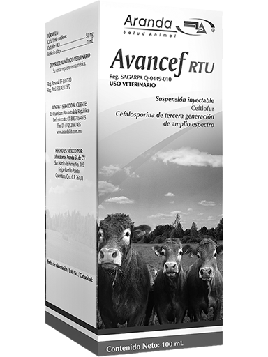 Avancef RTU 100 ML