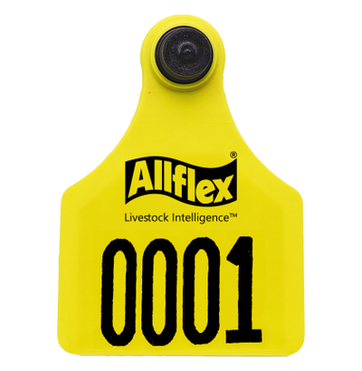 Arete Allflex Grande( HEMBRA ) Varios S/N C/25