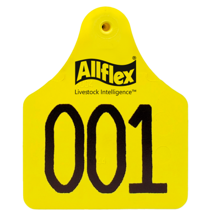 Arete Allflex Grande Amarillo S/N