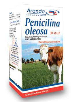 PENICILINA OLEOSA