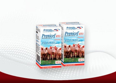 PRENICEF RTU 100 ML
