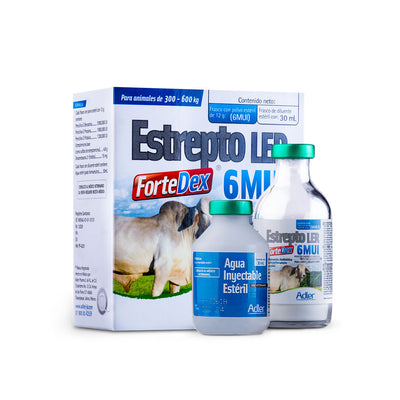 BIOTEC ESTREPTO LER FORTEDEX 6 MLL