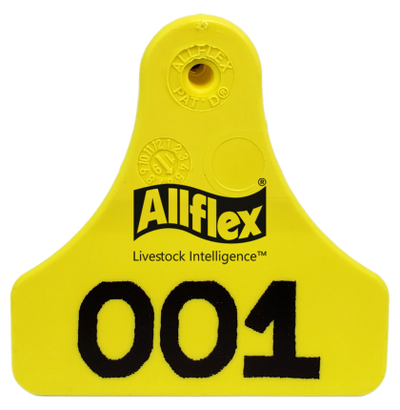 Arete Allflex Mediano S/N