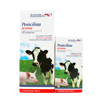 PENICILINA ACUOSA