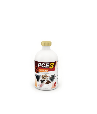 BACTERINA PCE3 - CHINOIN