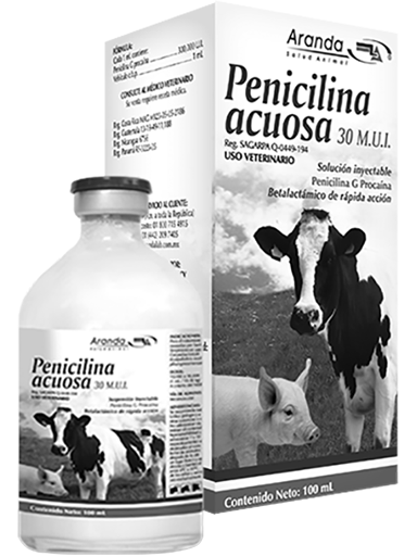 PENICILINA ACUOSA