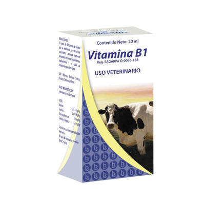 VITAMINA B1 20 ML BROVEL