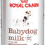Royal Canin Babydog Puppy Milk