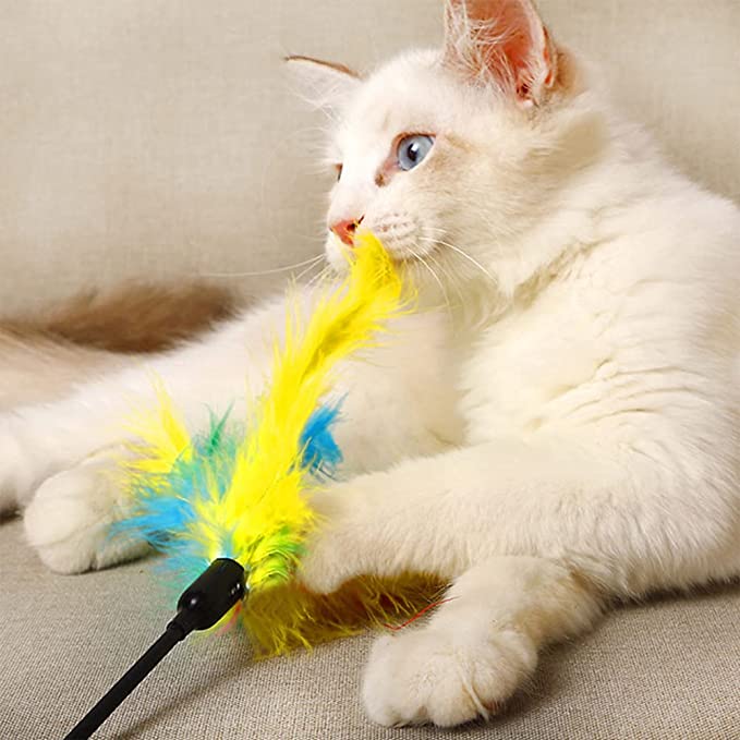 Juguetes de plumas de gato, varita interactiva para gatos