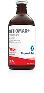 CEFTIOMAX 100 ML  Biogenesis Bag