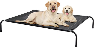 Catre para perro