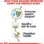 Royal Canin SHN Medium Adult