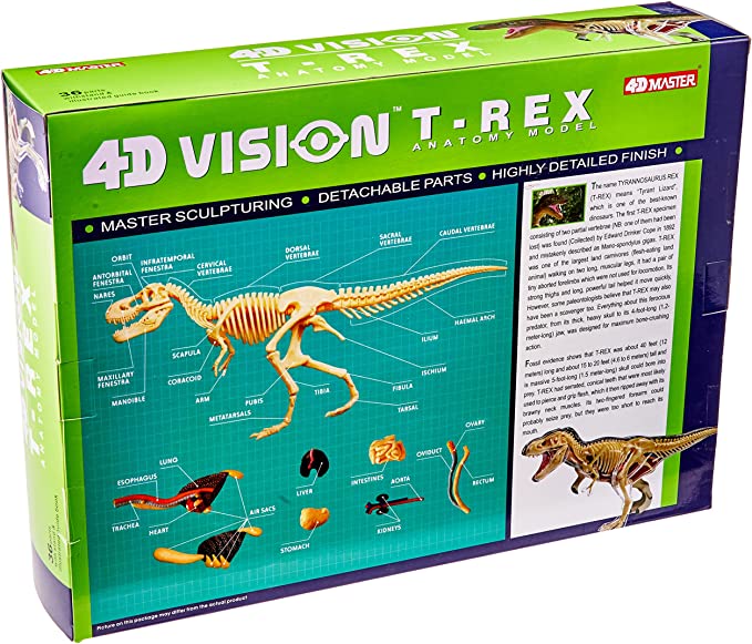 4D Modelo anatomico para armar, Tiranosauro Rex