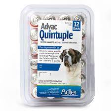 Adler - Advac Puppy Quintuple