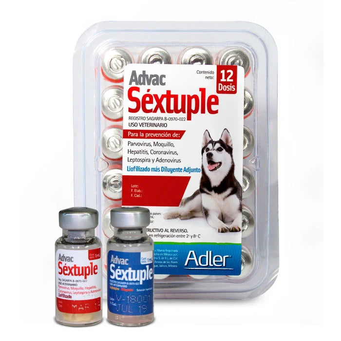 Adler - Advac Puppy Sextuple