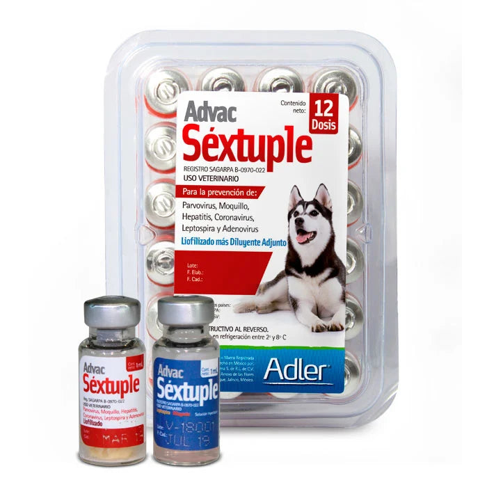 Adler - Advac Puppy Sextuple – Franz Haus