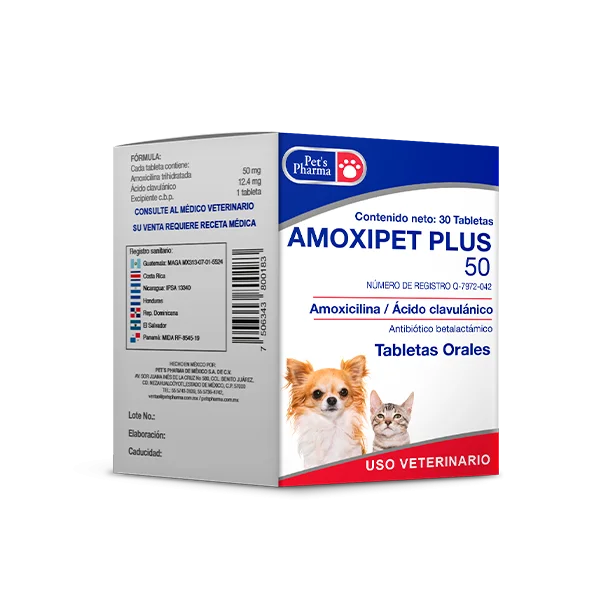 AMOXIPET