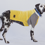 Urbandog Suéter Apis