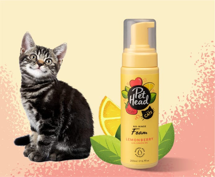 Pet Head Espuma sin Enjuague Felin' Good LemonBerry con Aceite de Limón Gato 200ml