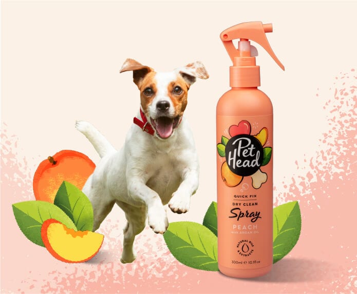 Pet Head Atomizador Desenredante Quick Fix Dry Clean Durazno con Aceite de Argan Perro 300ml