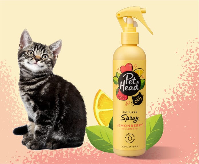 Pet Head Atomizador Lavado en Seco Felin' Good Gato 300ml
