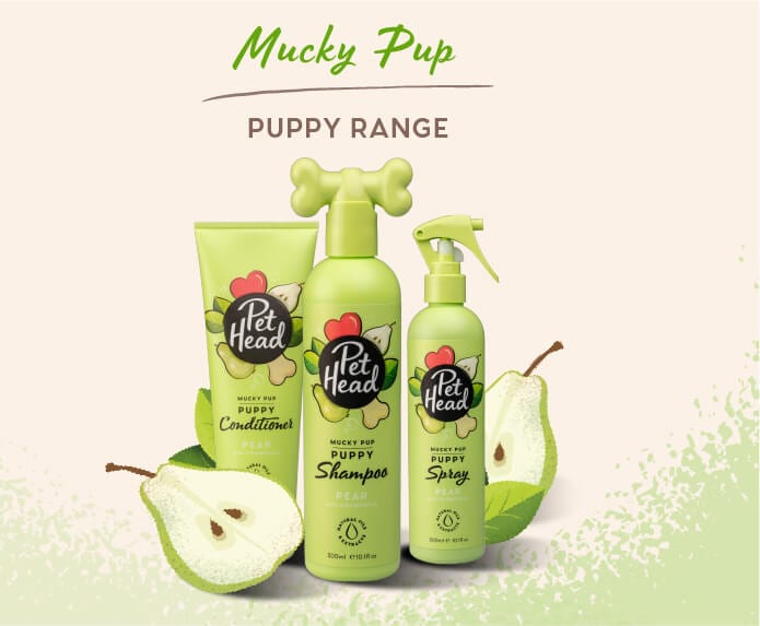 Pet Head Shampoo Mucky Pup Pera con Manzanilla Cachorro 475ml