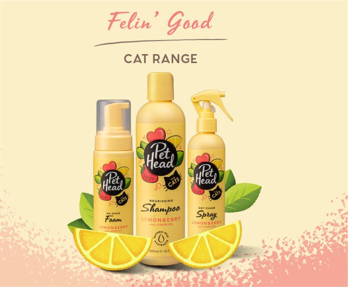 Pet Head Espuma sin Enjuague Felin' Good LemonBerry con Aceite de Limón Gato 200ml