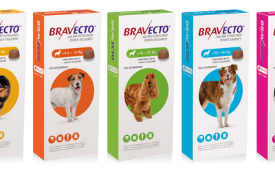 BRAVECTO - MSD