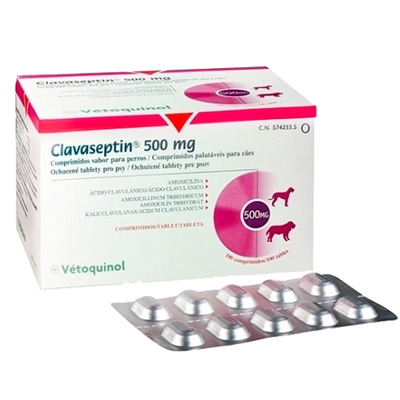 CLAVASEPTIN - VETOQUINOL