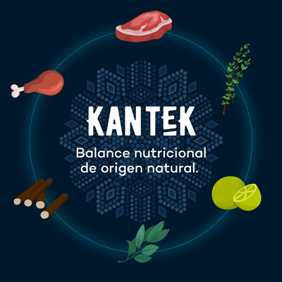 KANTEK Adulto - Alimento para Perro Super Premium