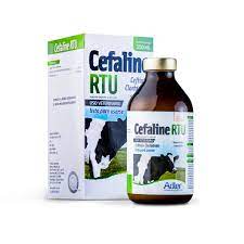 Adler - Cefaline RTU