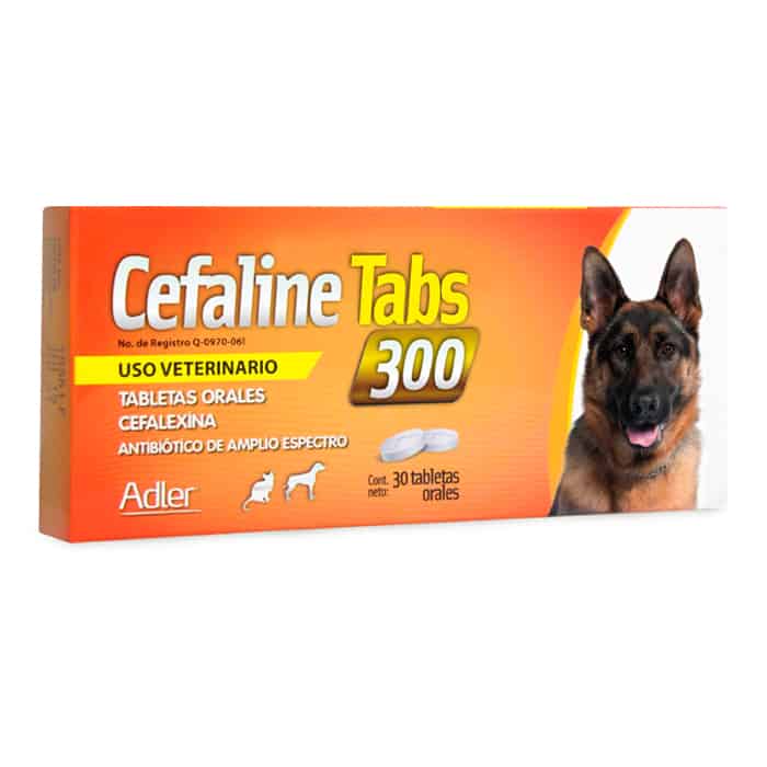 Adler - Cefaline Tabletas 300