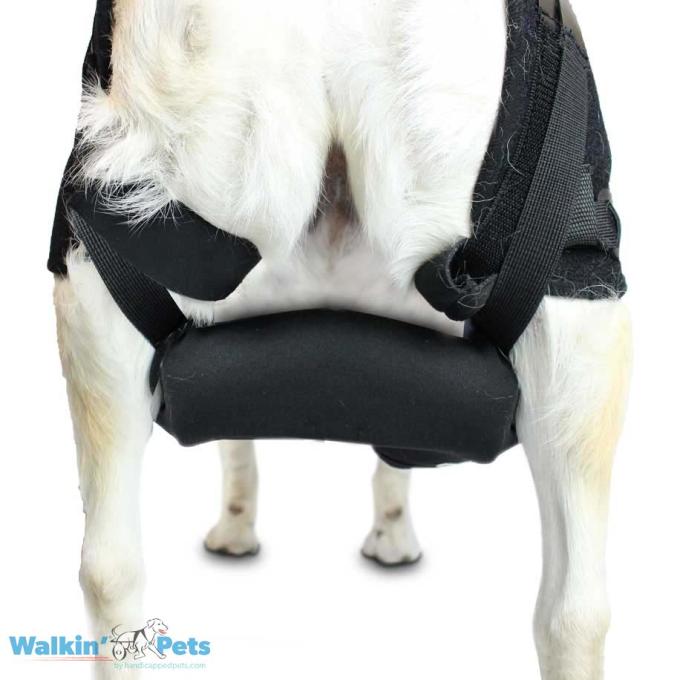 Walkin Pets Hip-EEZ, Cross Assist para perros que cruzan las patas traseras