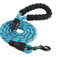 Grand Pet Correa gruesa Varios colores