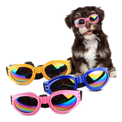 Lentes Multicolor