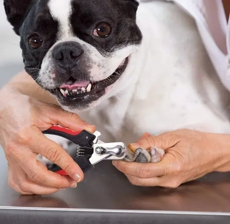 RYUFE Corta uñas para perro con lima