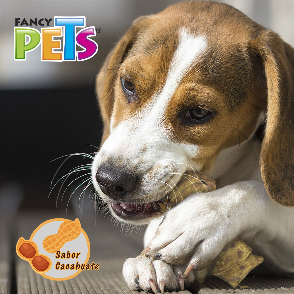 Fancy Pets Carnaza Sabor Cacahuate 7-8 IN