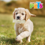 Fancy Pets Rollo de Carnaza Natural 9-10 IN
