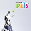 Dry Pet Pelota de Tenis con Squeaker Grande