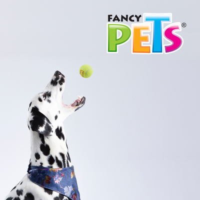 Dry Pet Pelota de Tenis con Squeaker Grande