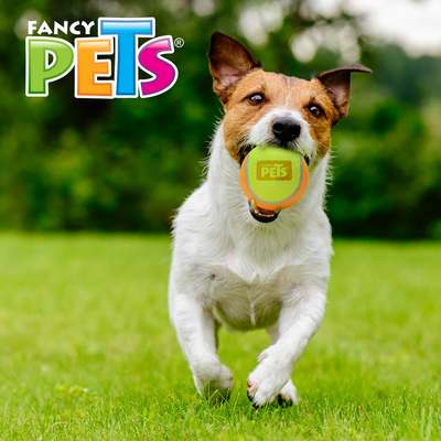 Fancy Pets Pelota de Tenis con Squeaker Bicolor CH