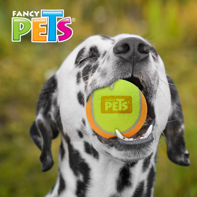 Fancy Pets Pelota de Tenis con Squeaker Bicolor GDE