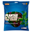 PLANTA P/ACUARIO SURTIDAS
